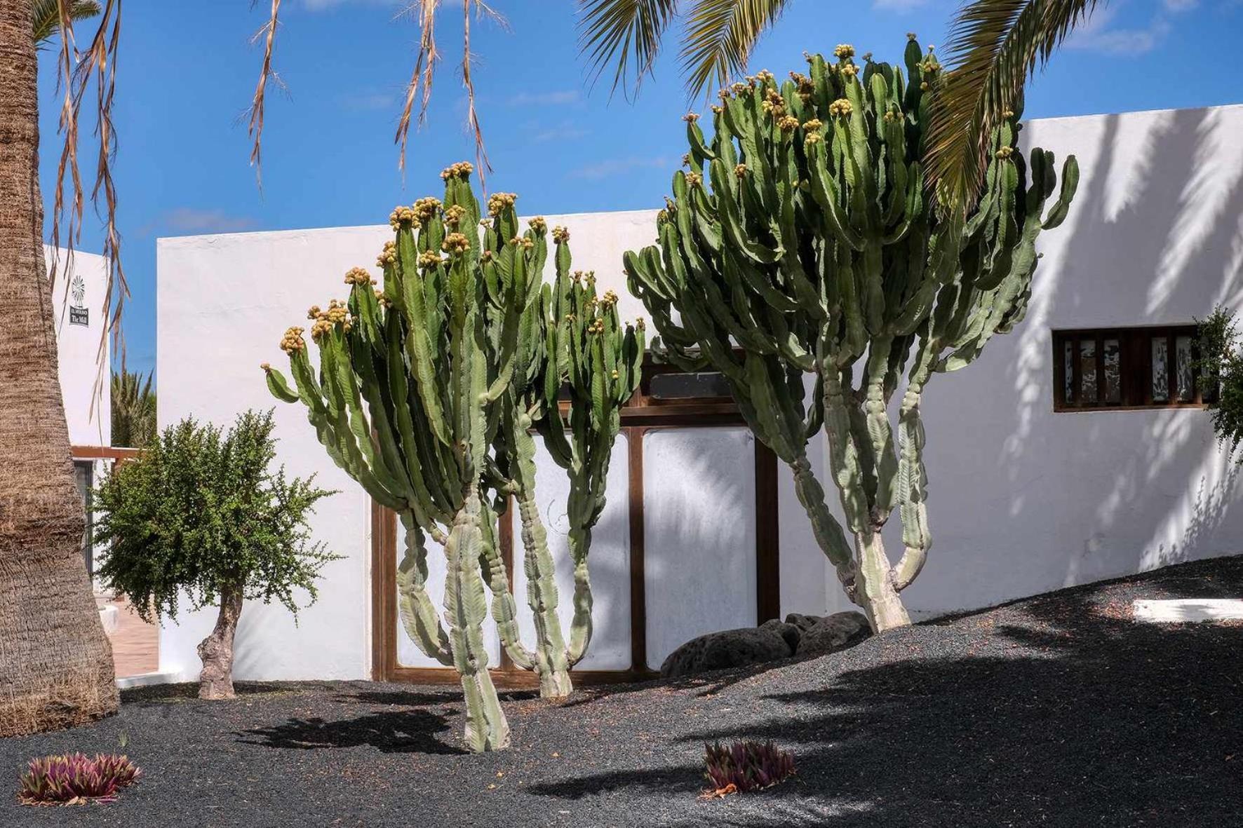 Los Molinos Luxury Y Relax Costa Teguise Kültér fotó